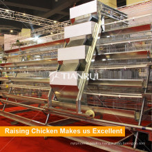 Automatic 3 Tiers 4 Tiers 5 Tiers 6 Tiers Poultry Battery Cages Laying Hens